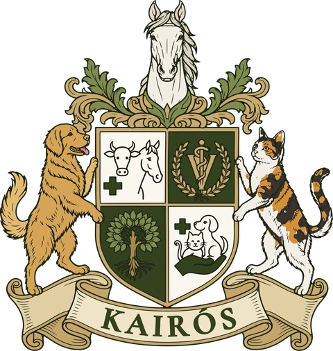 Brasão da Kairós